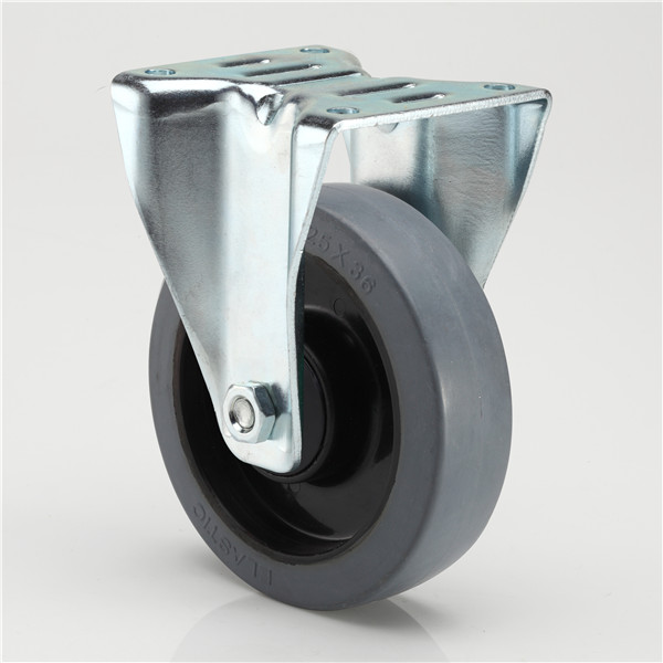 Fixed Castor